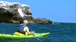 sea kayaking